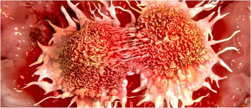 Illustration of dividing cancer cells