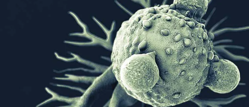 Illustration of an immune cell engaging a tumor cell