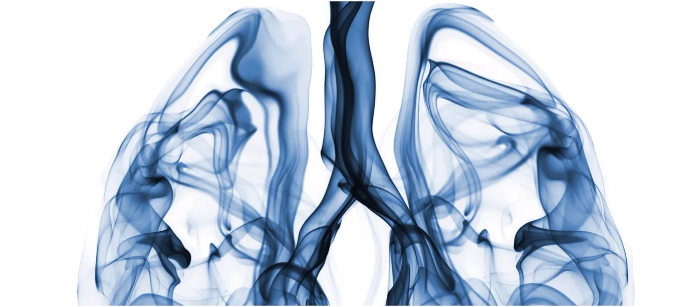 Illustration of the lungs and airways