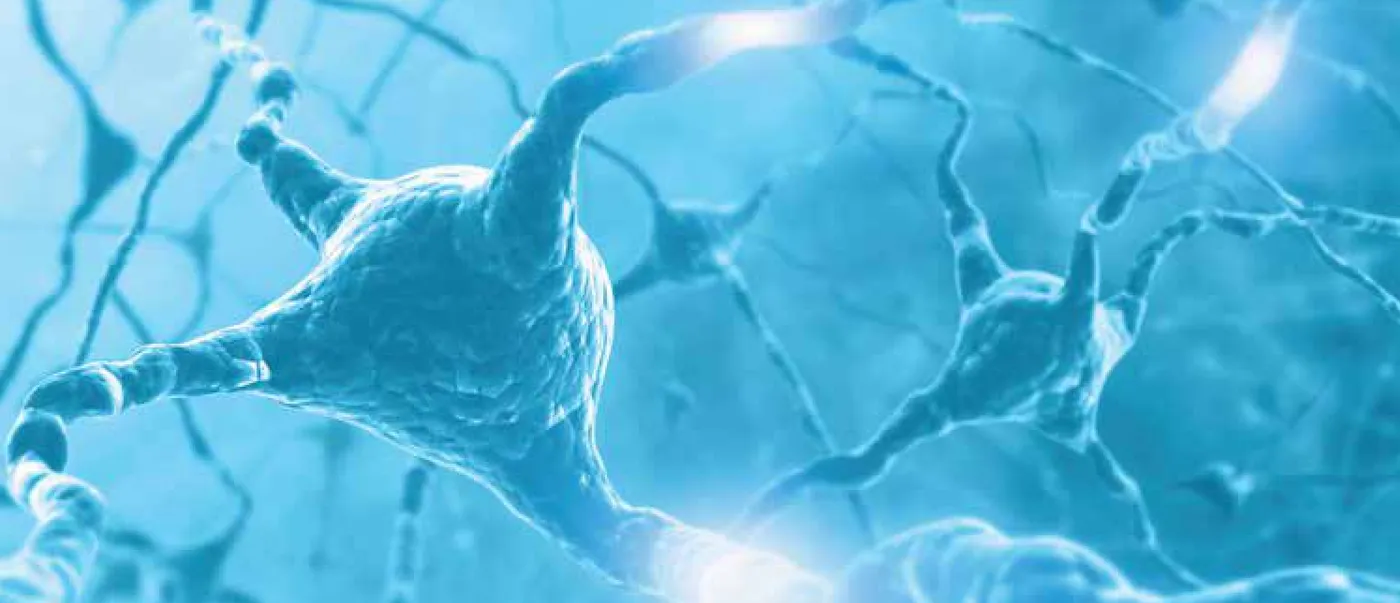 Illustration of neurons