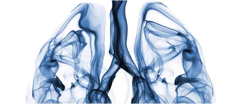 Illustration of the lungs and airways