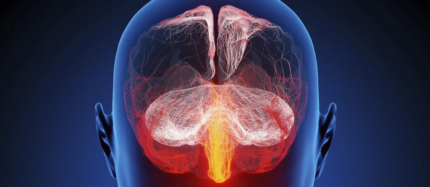 Translucent illustration of a human head with the brain highlighted in red to represent traumatic brain injury