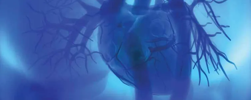 Illustration of the heart and blue blood vessels