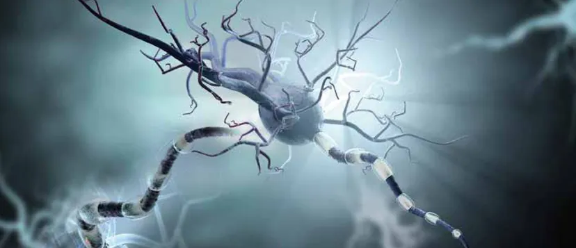 Illustration of a neuron